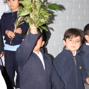 Celebración de Ramos